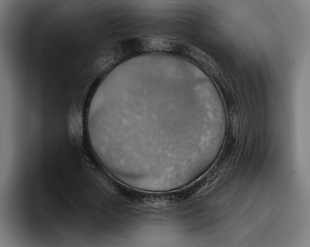 X0000096690729200802191427