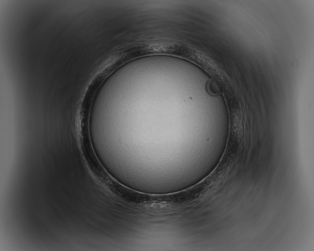 X0000096690730200802191427