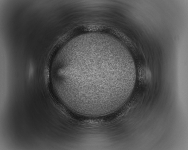 X0000096690733200802191427