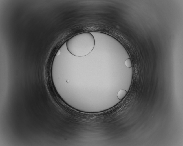 X0000096690734200802191428