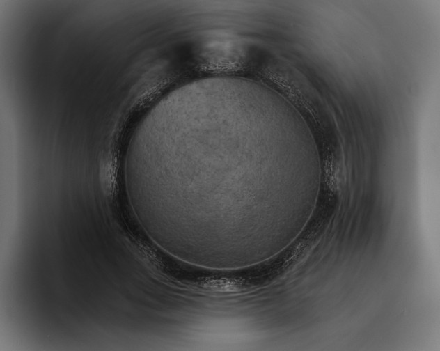 X0000096690735200802191428