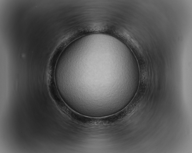 X0000096690736200802191428