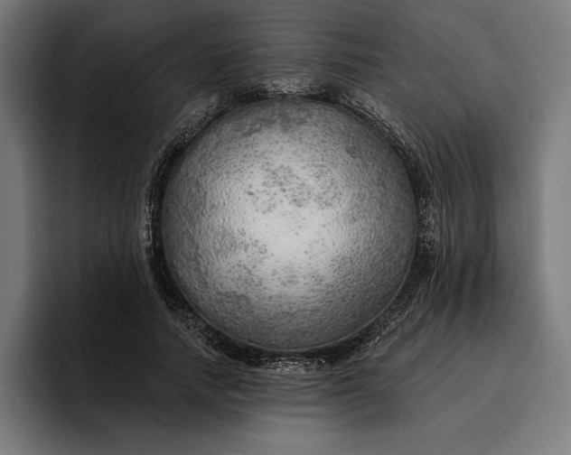 X0000096690738200802191428