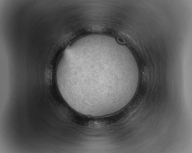 X0000096690739200802191428