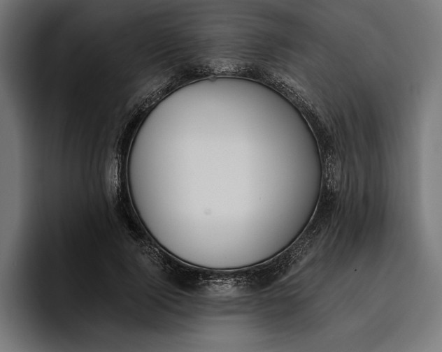 X0000096690740200802191428