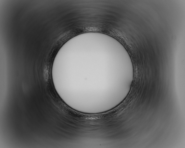 X0000096690741200802191428