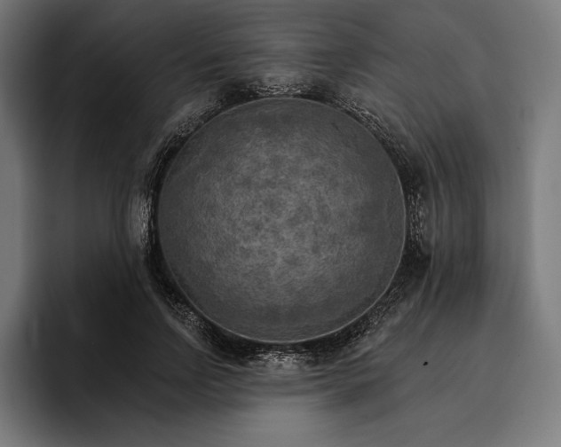 X0000096690742200802191428