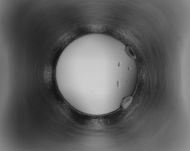 X0000096690744200802191428