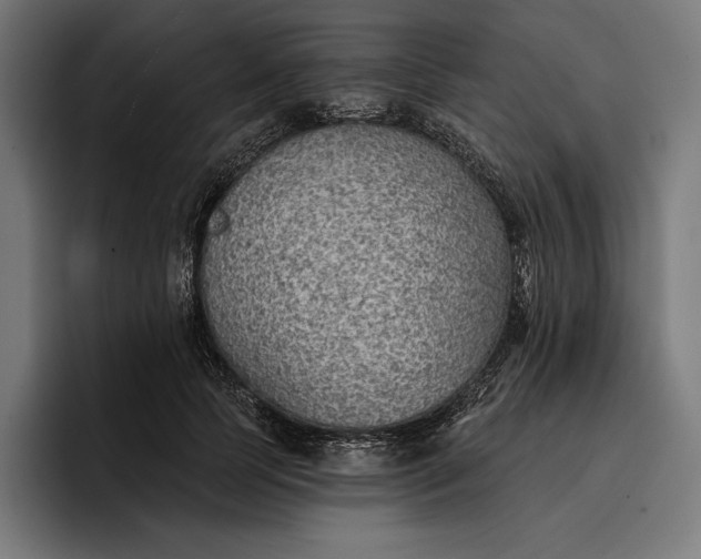 X0000096690745200802191428