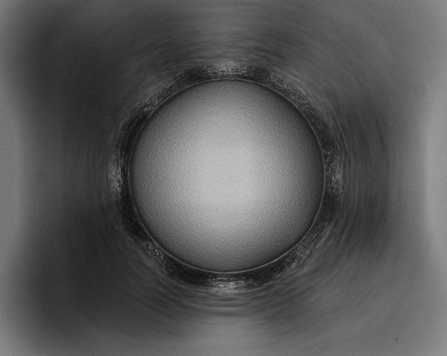 X0000096690746200802191428