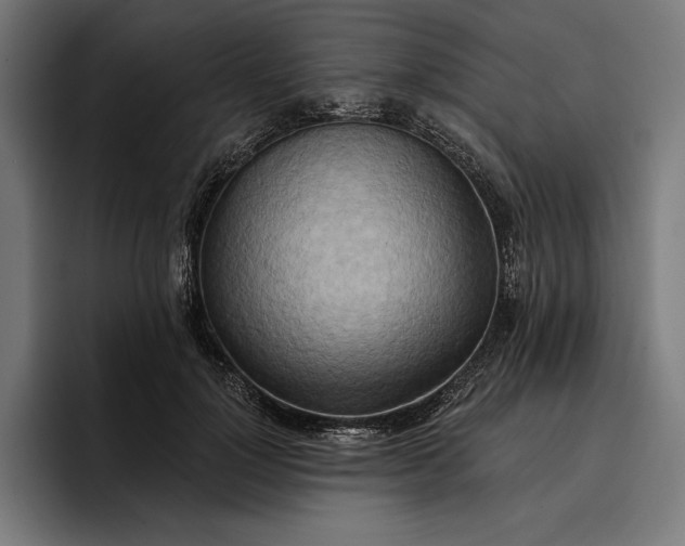 X0000096690748200802191428