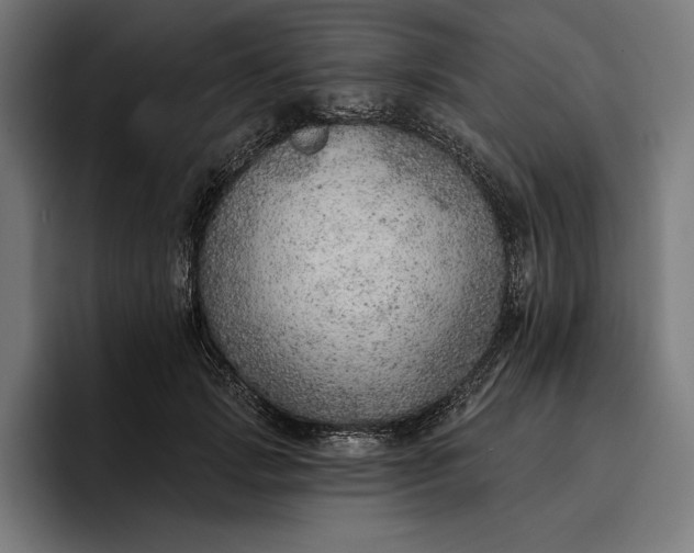 X0000096690749200802191428