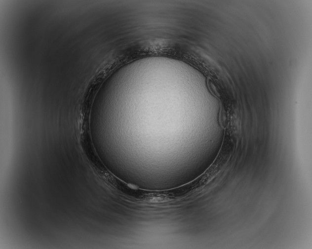 X0000096690750200802191428