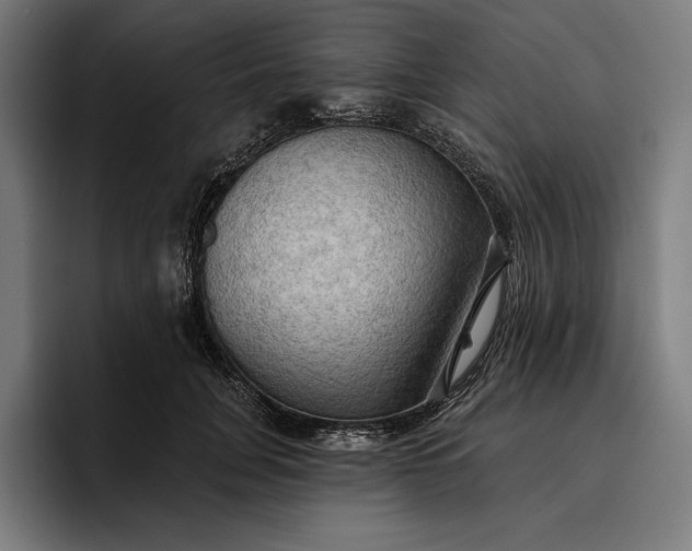 X0000096690751200802191428