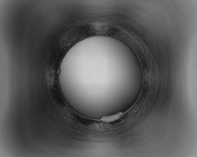 X0000096690752200802191428