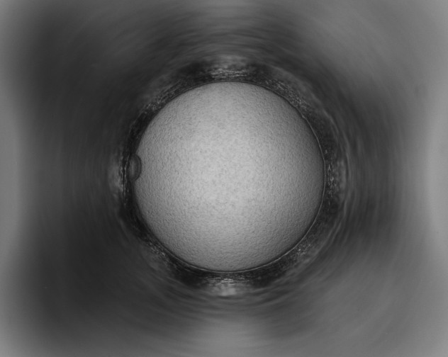 X0000096690755200802191428