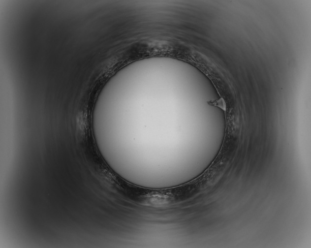 X0000096690756200802191428