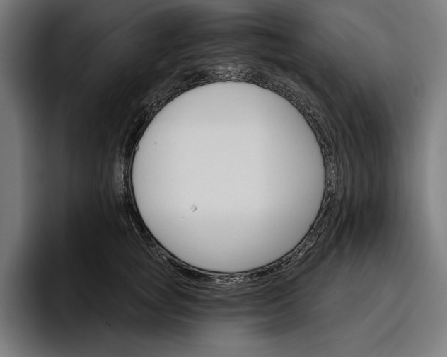 X0000096690757200802191428