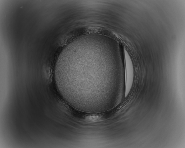 X0000096690759200802191428