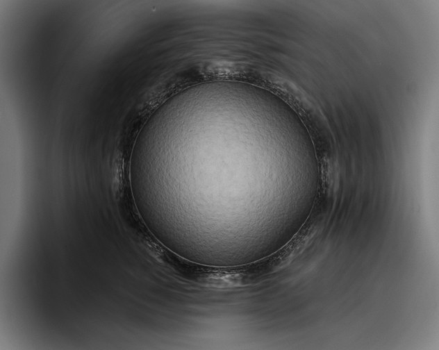 X0000096690760200802191428