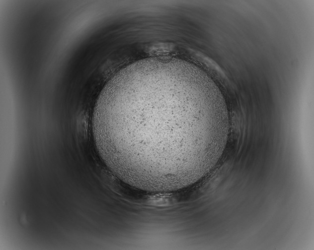 X0000096690761200802191428