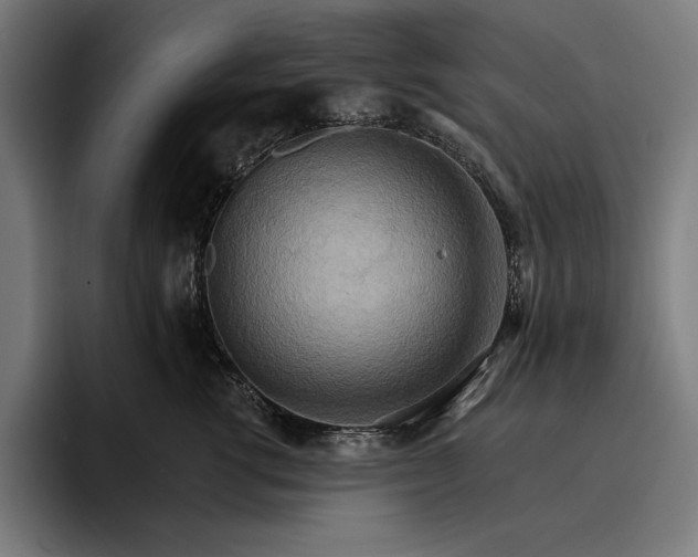 X0000096690762200802191428