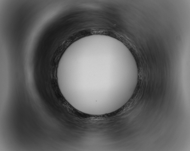 X0000096690763200802191428