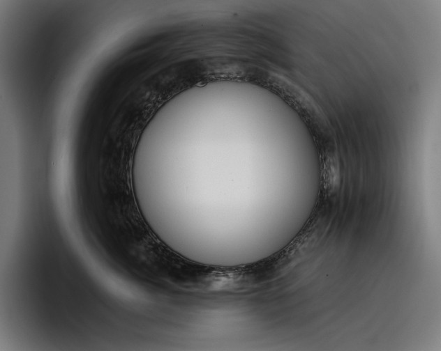 X0000096690764200802191428