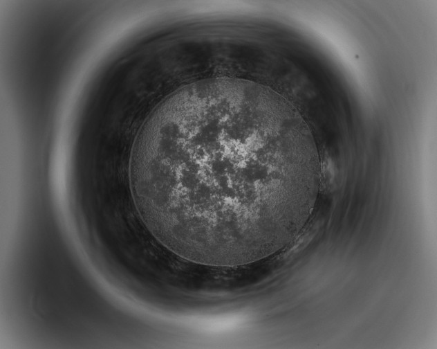 X0000096690765200802191428