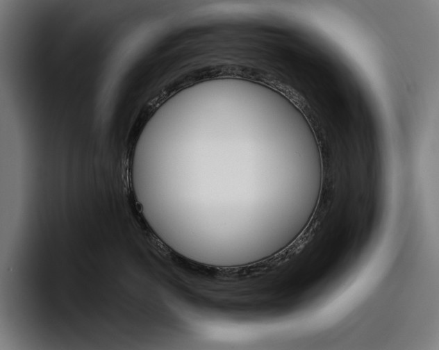 X0000096690766200802191428