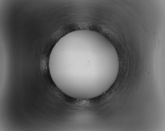 X0000096690768200802191428