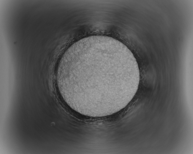 X0000096690769200802191427