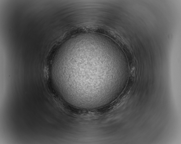 X0000096690772200802191427