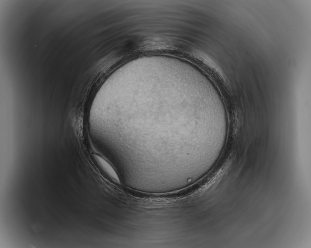 X0000096690777200802191427