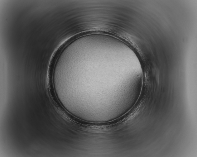 X0000096690780200802191427