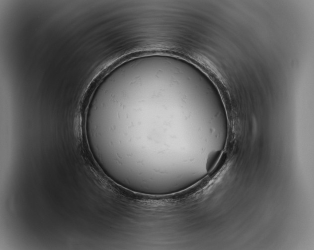 X0000096690781200802191427