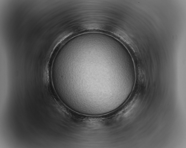 X0000096690782200802191427