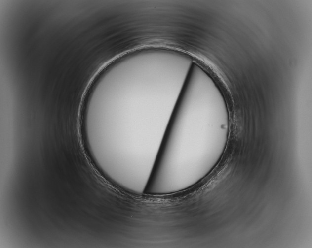 X0000096690783200802191427