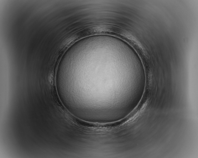 X0000096690785200802191427