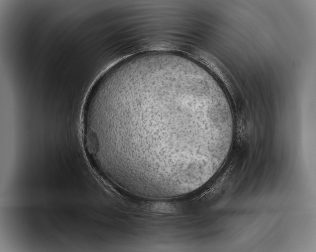 X0000096690787200802191427