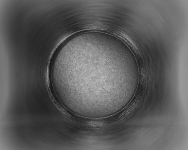 X0000096690788200802191427