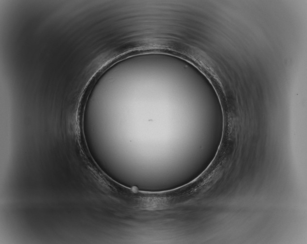 X0000096690789200802191427