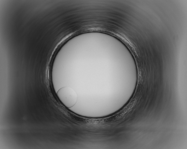 X0000096690790200802191427