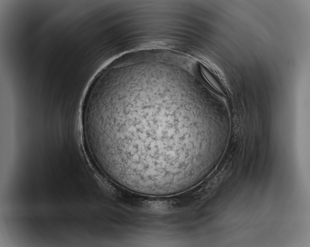 X0000096690792200802191427