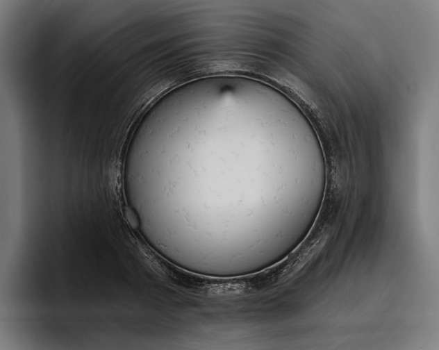 X0000096690793200802191427