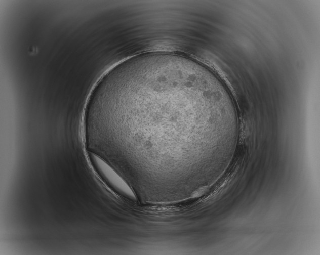 X0000096690795200802191427