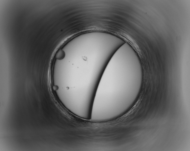 X0000096690796200802191427