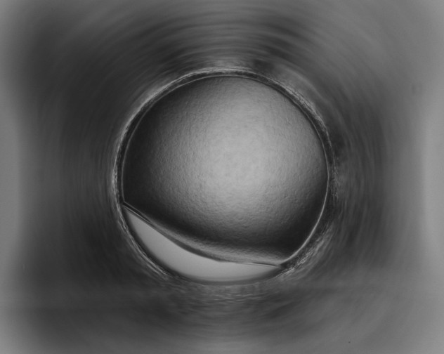 X0000096690797200802191427