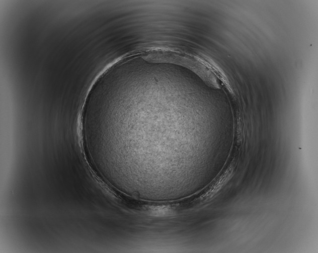 X0000096690798200802191427