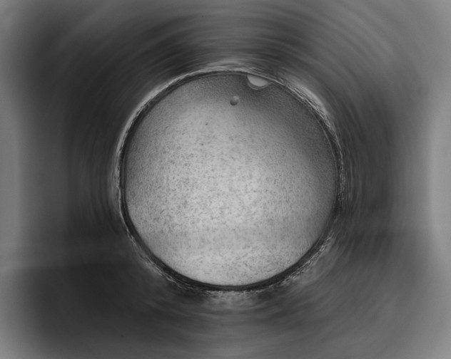 X0000096690800200802191427